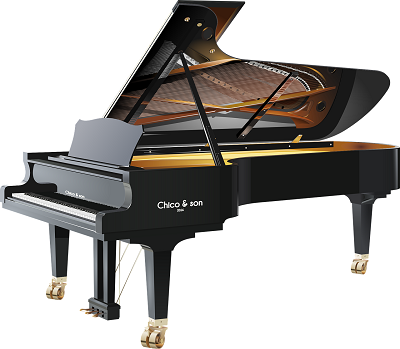 Pianista Venezia