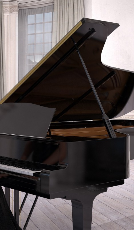 Pianista Venezia